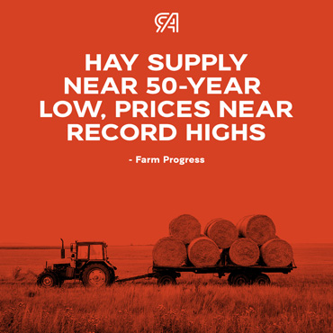 Square-news-hay-supply